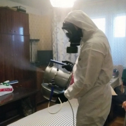 Дезинфекция от клопов в Ржеве