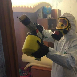 Уничтожение клопов в квартире. Ржев